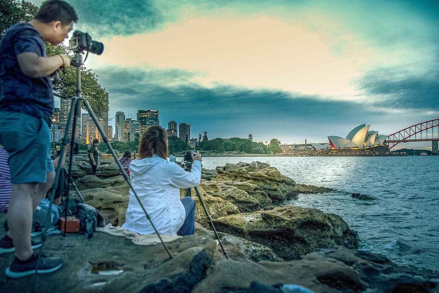 Sydney: Tour fotografico e crociera al tramonto del porto di Sydney