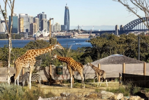 Sydney: Taronga Zoo Ticket with Return Ferry & Cable Car