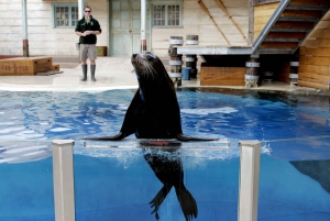 Sydney: Taronga Zoo Ticket with Return Ferry & Cable Car