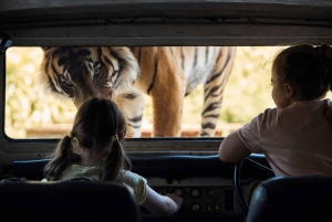 Sydney: Taronga Zoo Ticket with Return Ferry & Cable Car