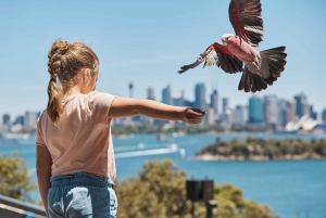 Sydney: Taronga Zoo Ticket with Return Ferry