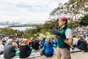 Sydney: Taronga Zoo Tickets