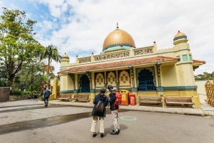 Sydney: Taronga Zoo Tickets