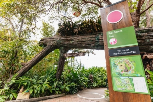 Sydney: Taronga Zoo Tickets