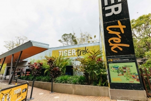 Sydney: Taronga Zoo Tickets
