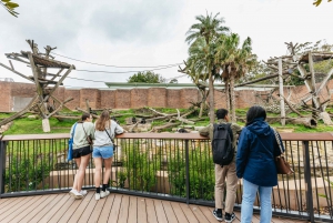 Sydney: Taronga Zoo Tickets