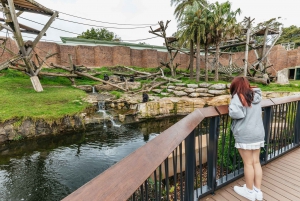 Sydney: Taronga Zoo Tickets