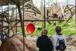 Sydney: Taronga Zoo Tickets