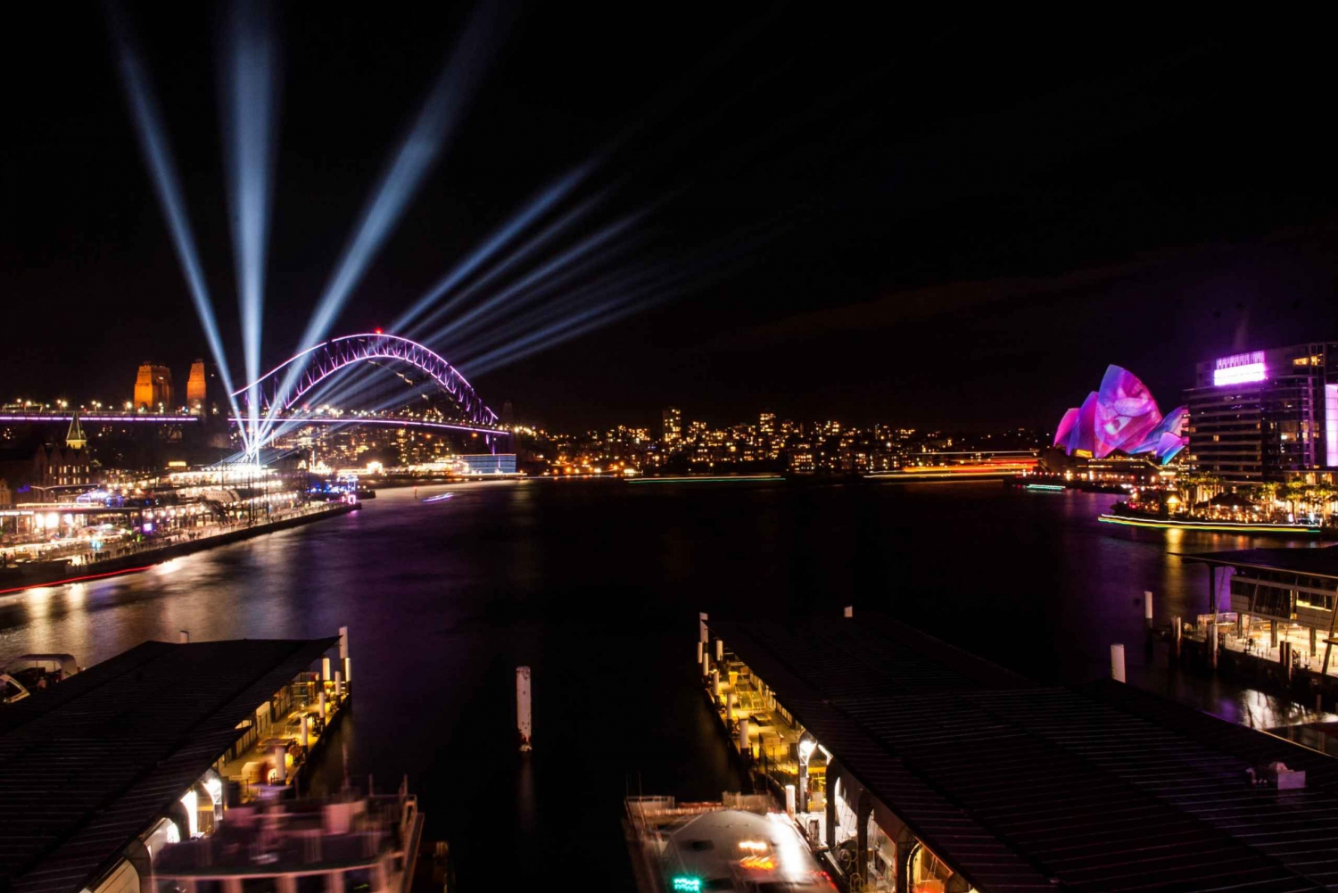 Sydney: Vivid Festival of Light havnekrydstogt med middag