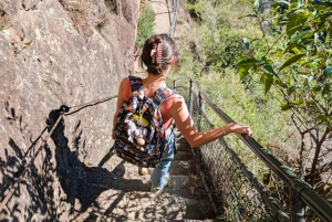 Sydney: Waterfall Bushwalk and Blue Mountain Sunset Day Trip