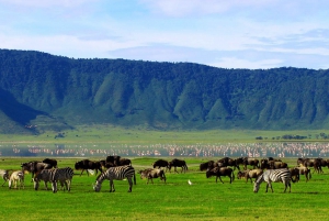 セレンゲティとケニア・タンザニア11日間：サファリの旅