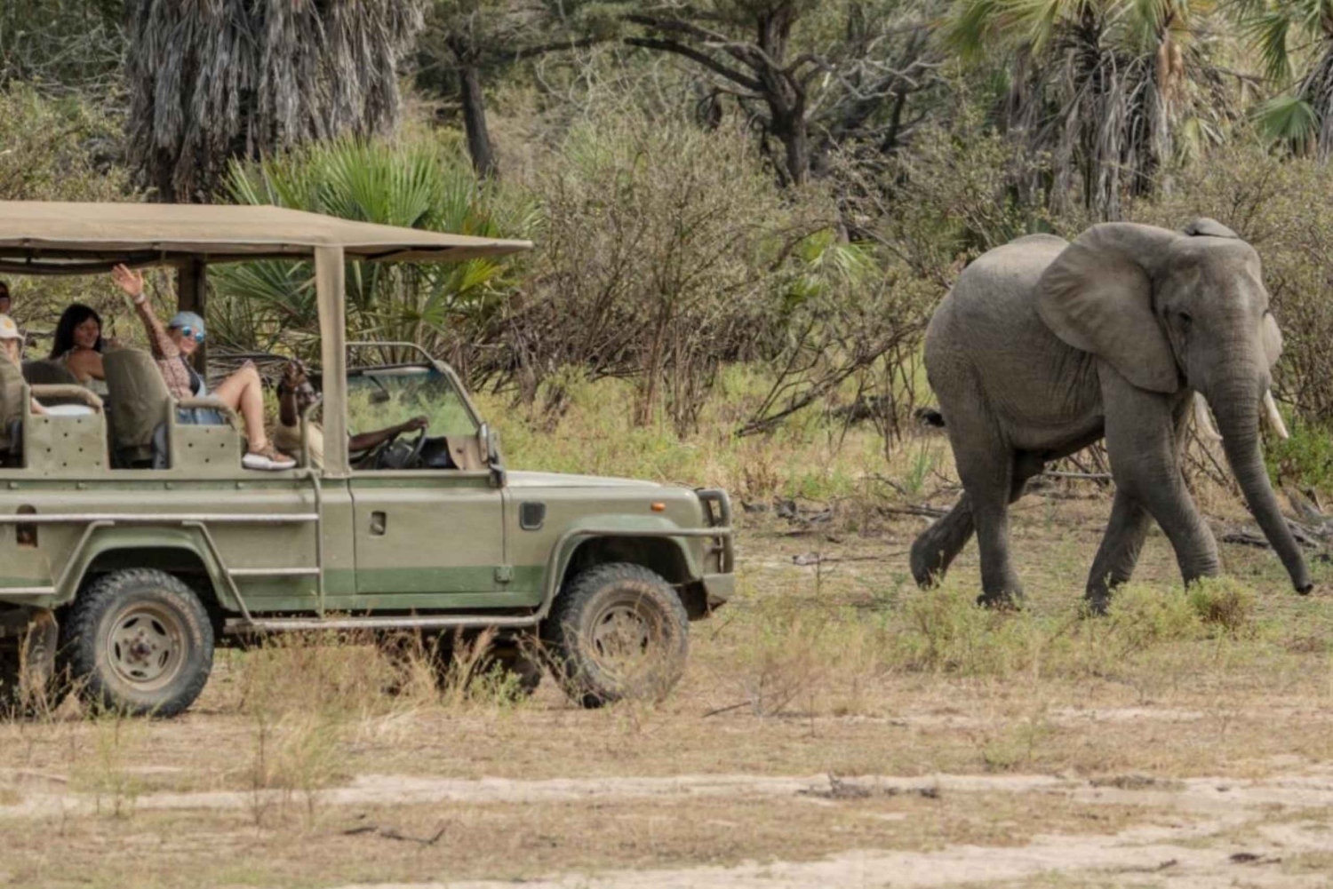 2 päivä Sansibarista Nyerere NP (Selous GR) lentäen