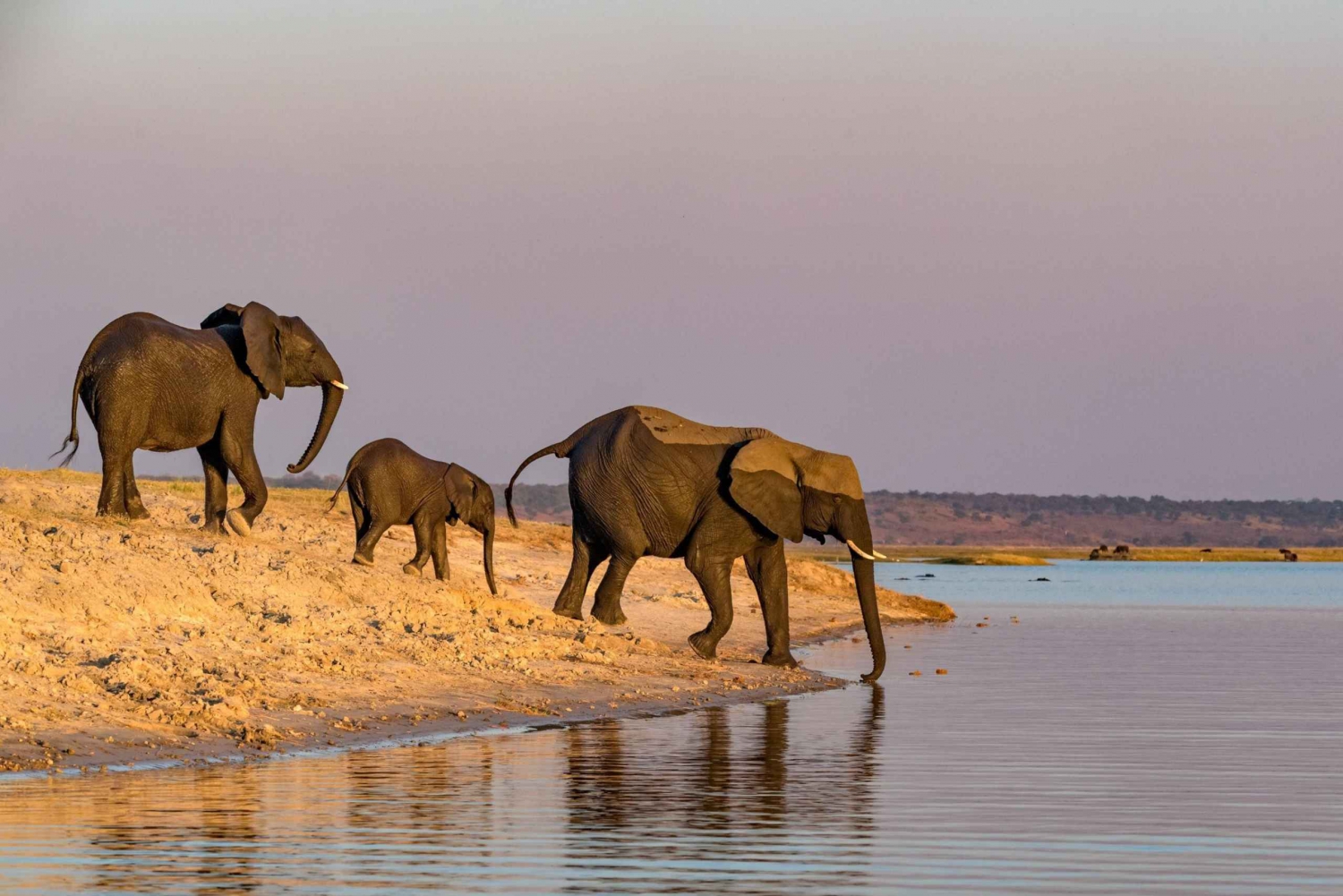 2 Dagen 1 Nacht Tarangire & Ngorongoro Krater