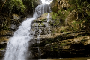 3-dages Mikumi-safari, Uluguru-vandretur og maasai-kultur