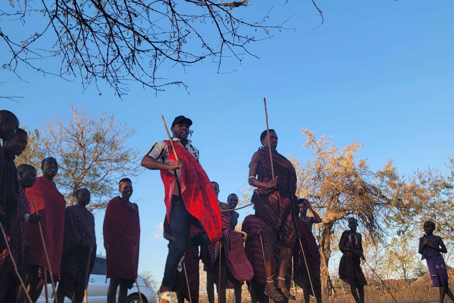 3-dagars Mikumi Wildlife & Culture Adventure från Zanzibar