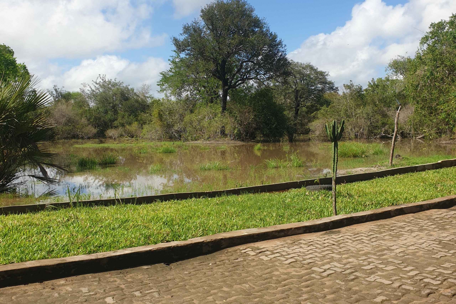 3 DAGAR NYERERE NATIONALPARK FRÅN ZANZIBAR MED FLYG.