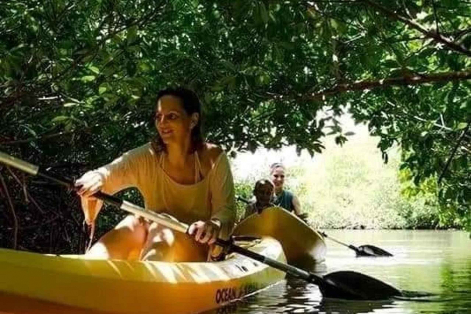 Zanzibar: 3-timers kajakktur gjennom mangroveskogen