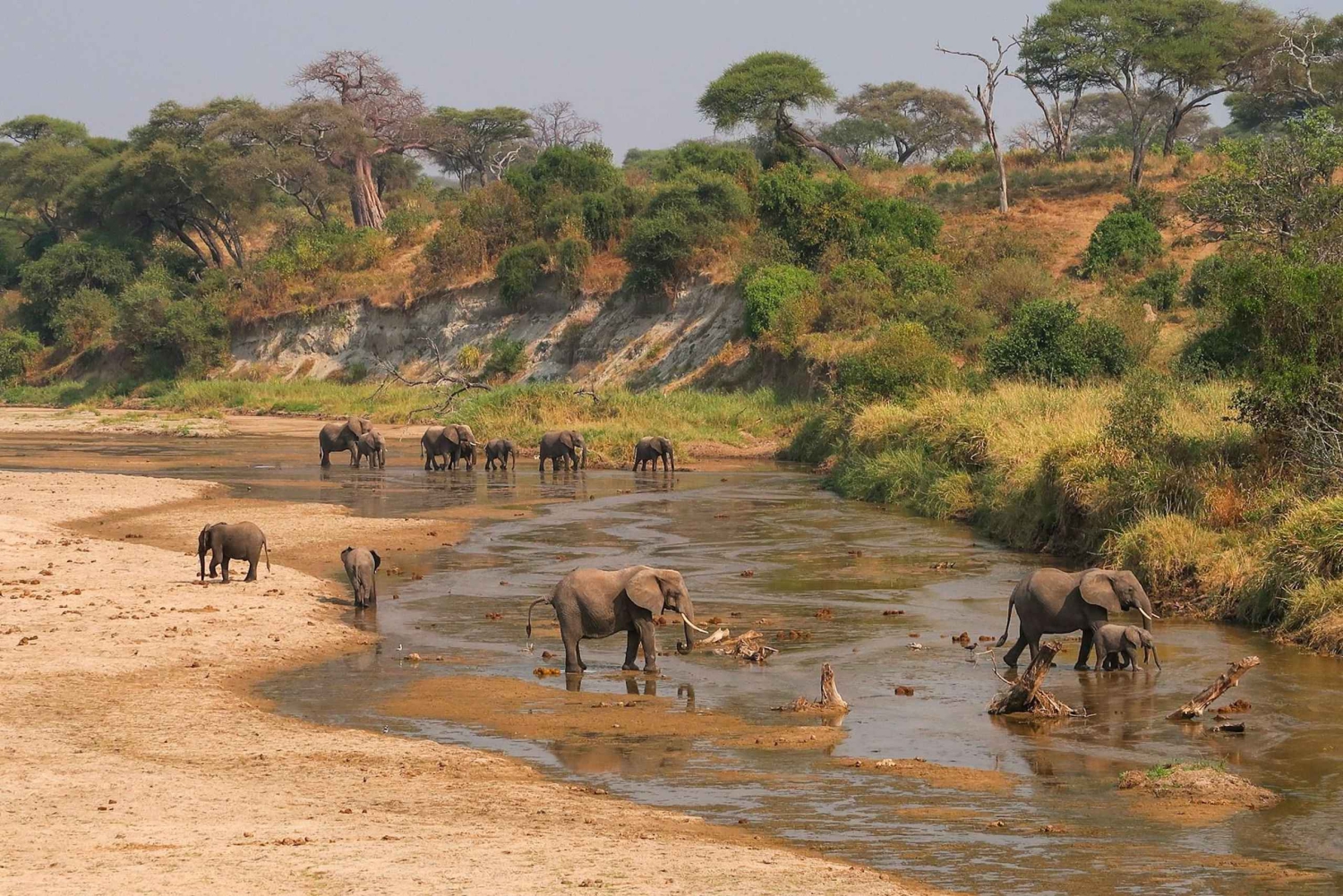 4-dagars safari till Arusha NP, Ngorongoro, Tarangire och Makuyuni