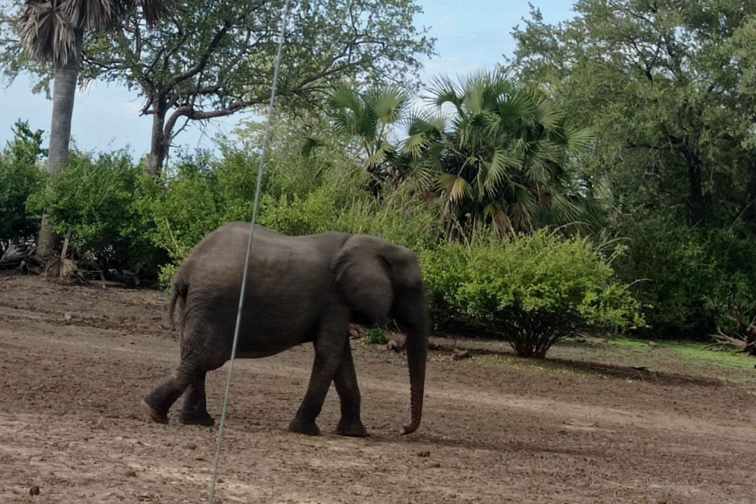 4-dagars södra Tanzania Udzungwa och Mikumi NP