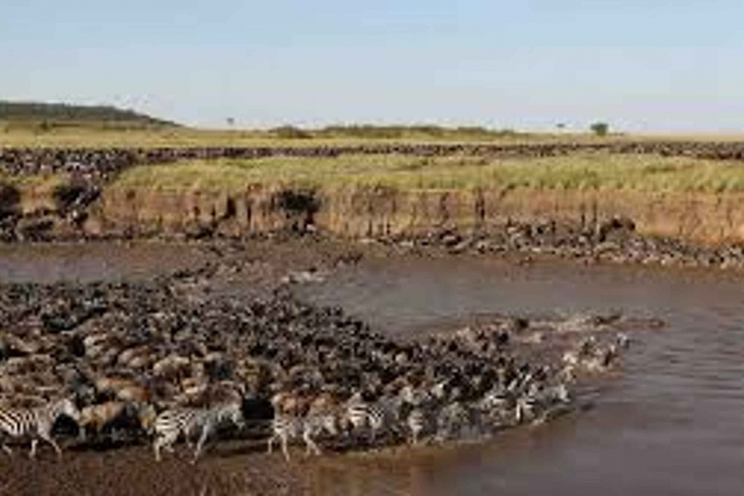 4-dages Tanzania-safari til en overkommelig mellemklasse-lodgesafari