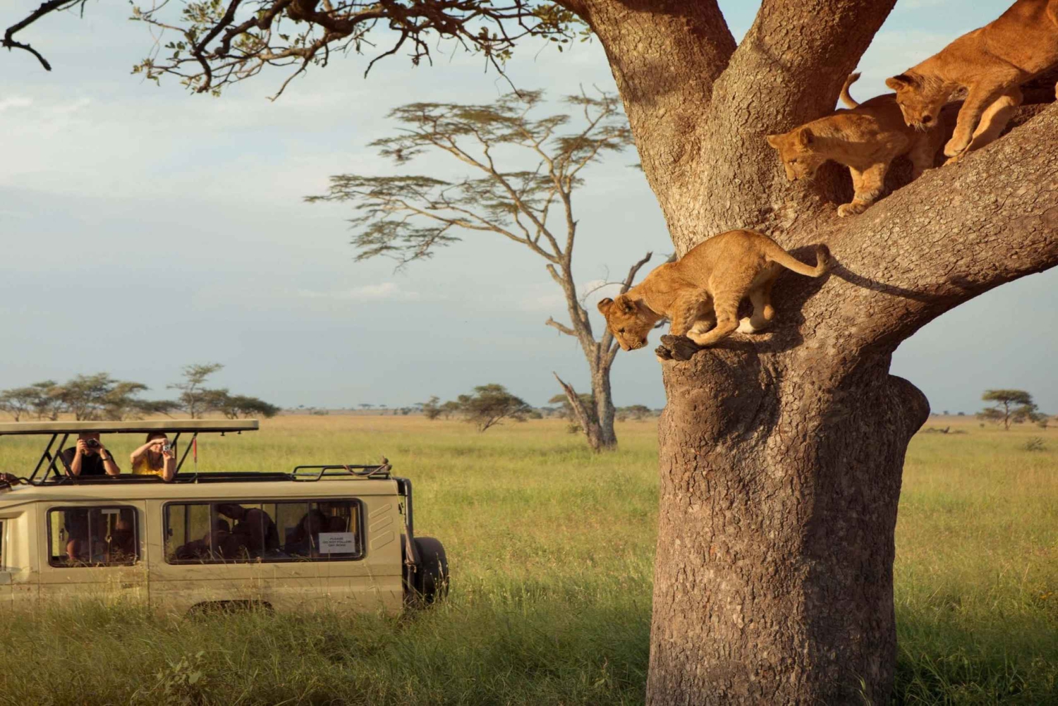 7-Day Group Safari from Zanzibar:
