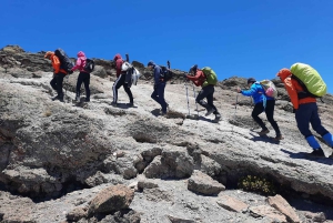 7 giorni: Trekking sul Kilimangiaro attraverso il percorso Machame