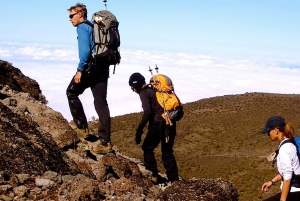 7 giorni: Trekking sul Kilimangiaro attraverso il percorso Machame