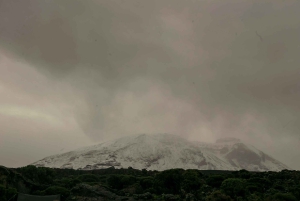 8-dages Lemosho-rute – Toppen af Kilimanjaro nytårsaften 2026