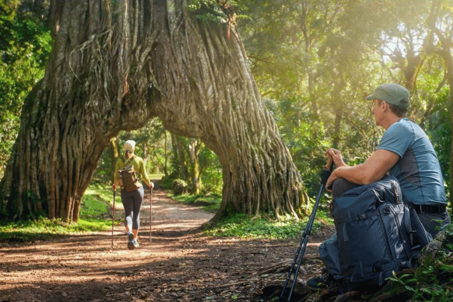アルーシャ：2日間のアルーシャとムコマジ国立公園サファリ