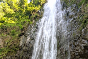 アルーシャ：4日間ンゴロンゴロ、タランギレ、マテルニ・ロッジツアー