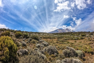 Arusha: 9-päiväinen Kilimanjaron pohjoisen kierroksen reitti