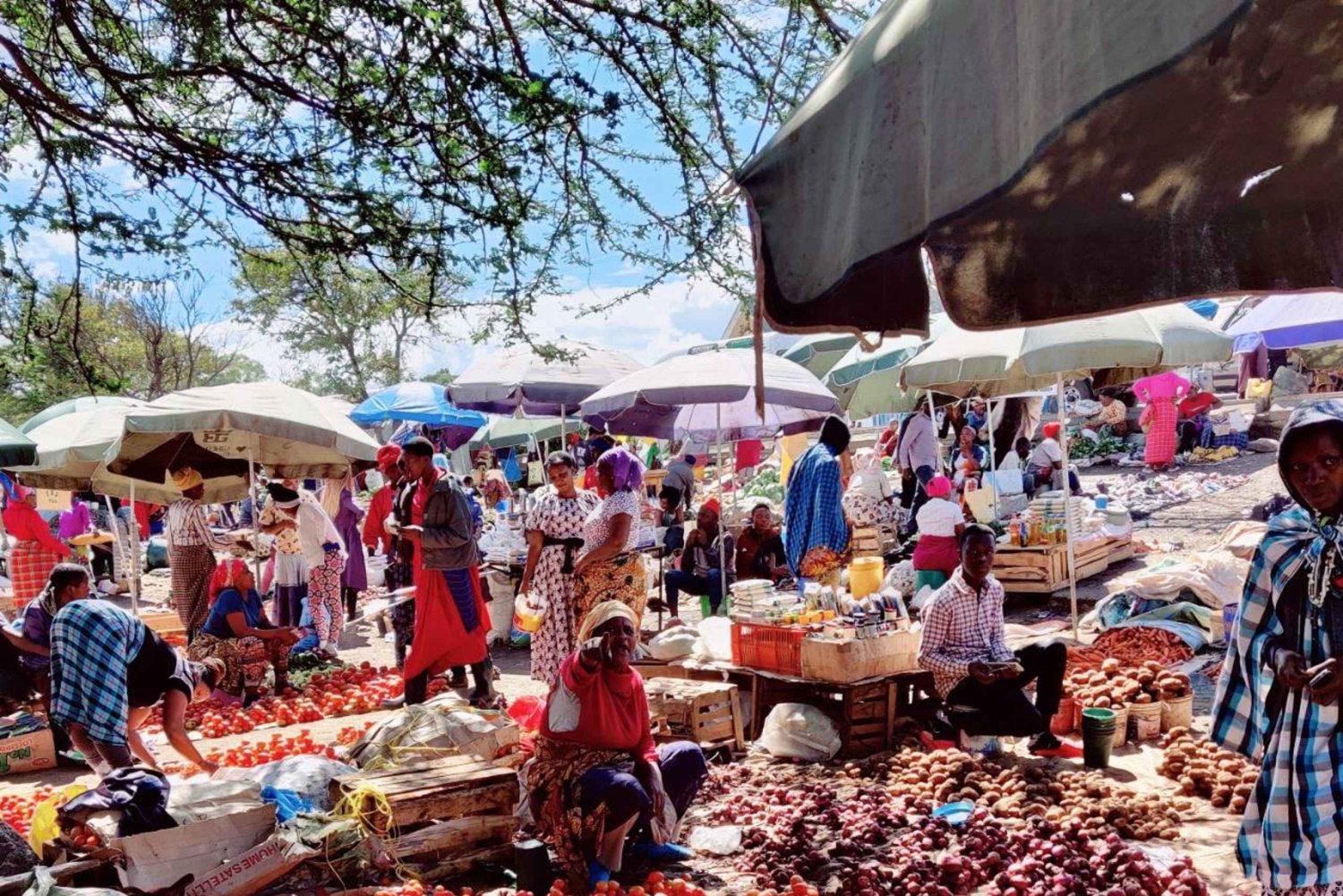 Arusza: zwiedzanie miasta, przejażdżka tuktukiem i piesza wycieczka