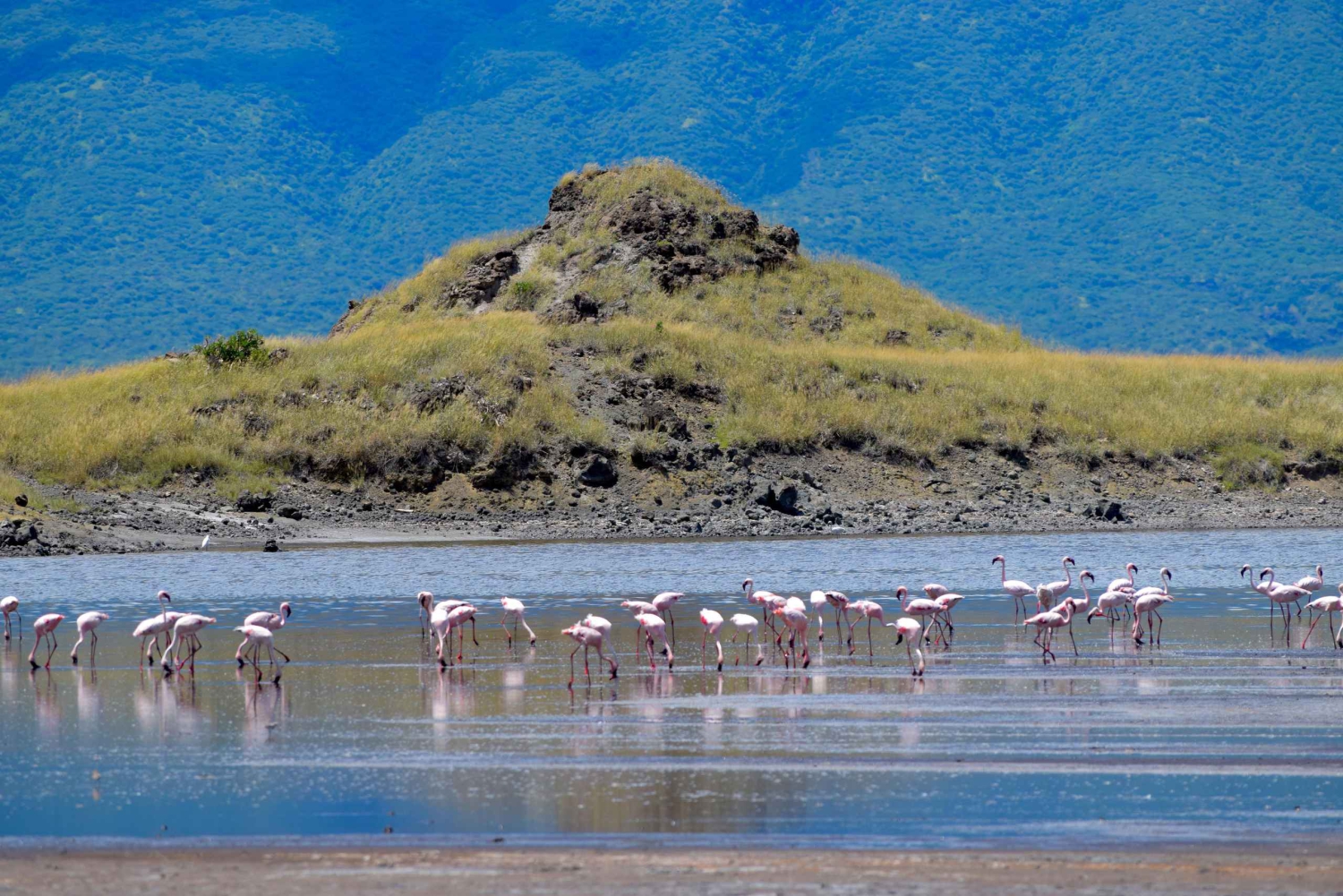 Arusha: excursión de 1 día al lago Natron (paseo por el lago y ruta de senderismo a la cascada)