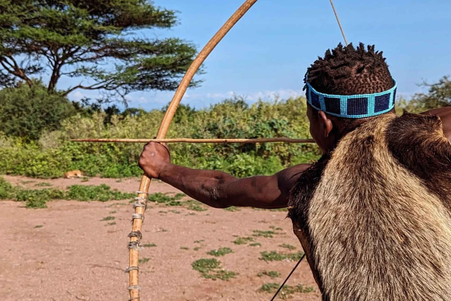 Arusha/moshi: Rundvisning i en masai-landsby og Chemka varme kilder