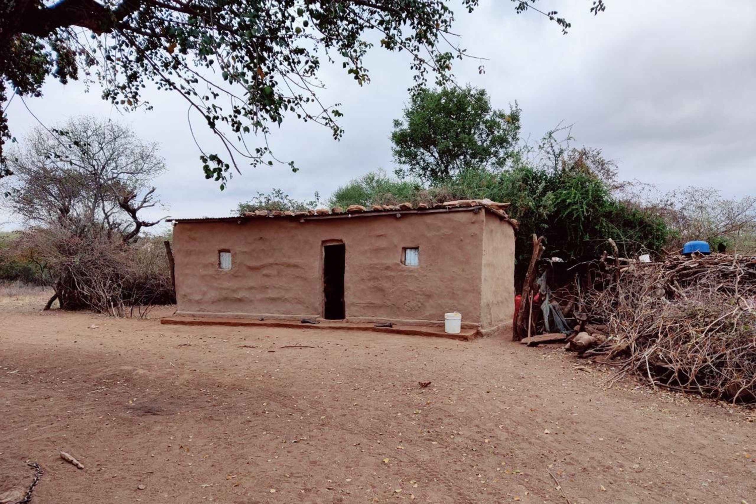 Arusha: tour di un giorno del villaggio Maasai e della fauna selvatica