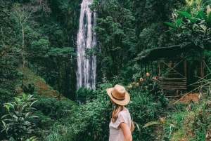 Arusha: Materuni Waterfalls, Coffee, and Hotsprings Tour