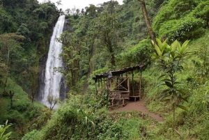 Arusha: Materuni Waterfalls, Coffee, and Hotsprings Tour