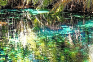 Arusha: Materuni Waterfalls, Coffee, and Hotsprings Tour