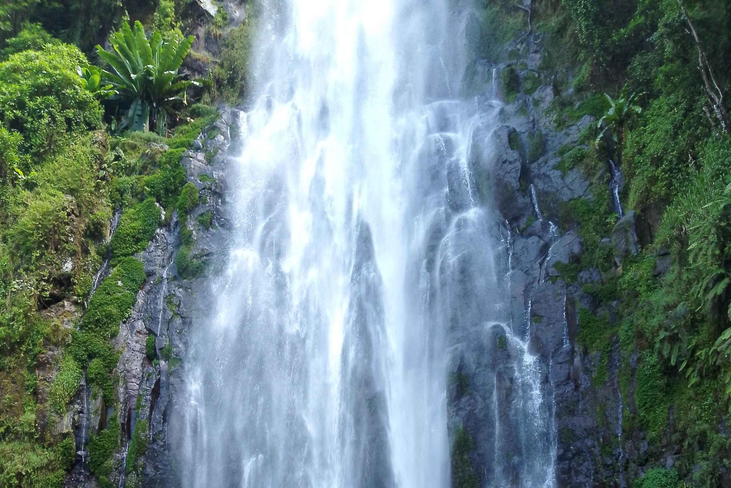 Аруша/Моши: водопад, кофейный тур и банановое вино