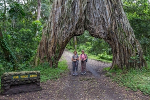 Arusha: Kansallispuiston päiväretki hotellin tai lentokentän nouto