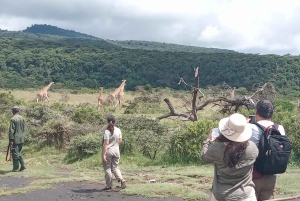 Minnesvärd safaritur i Arusha Park