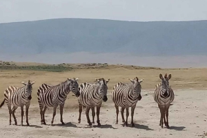 Minnesvärd safaritur i Arusha Park