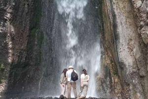 Minnesvärd safaritur i Arusha Park