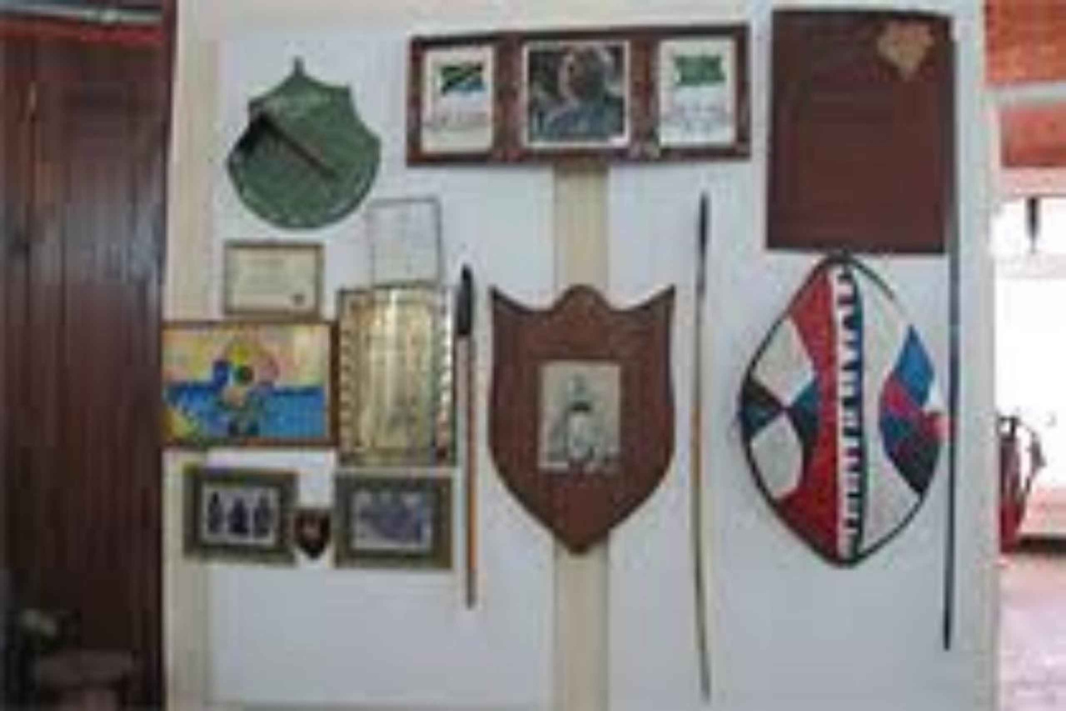 Zanzibar: Jozani-skogen, havssköldpaddor och Mtende Beach-tur