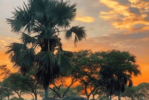Dar es Salaam: 2-dagars safari till Mikumi National Park och ...