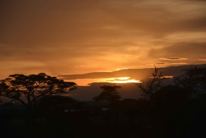 Dar es-Salam: safari de 7 días por el sur de Tanzania