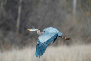 Dar es-Salam: safari de 7 días por el sur de Tanzania