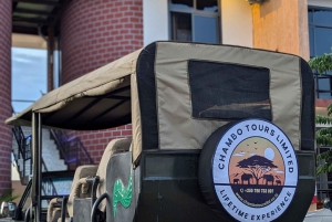 Dar es Salaam: dagtour naar Mikumi National Park met lunch