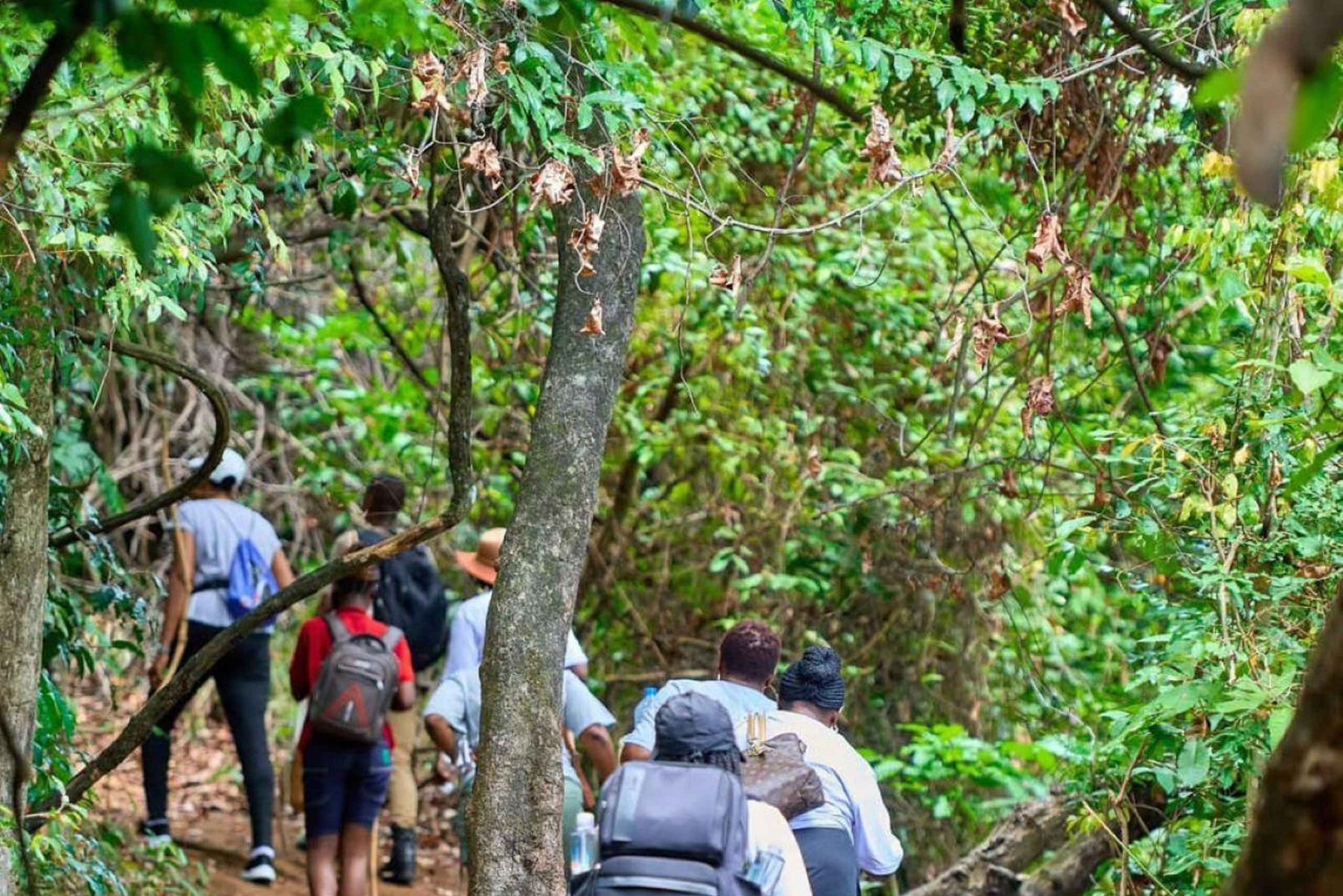 Visite d'une journée à la forêt de Pugu Kazimzumbwi et sortie en bateau au barrage de Minaki