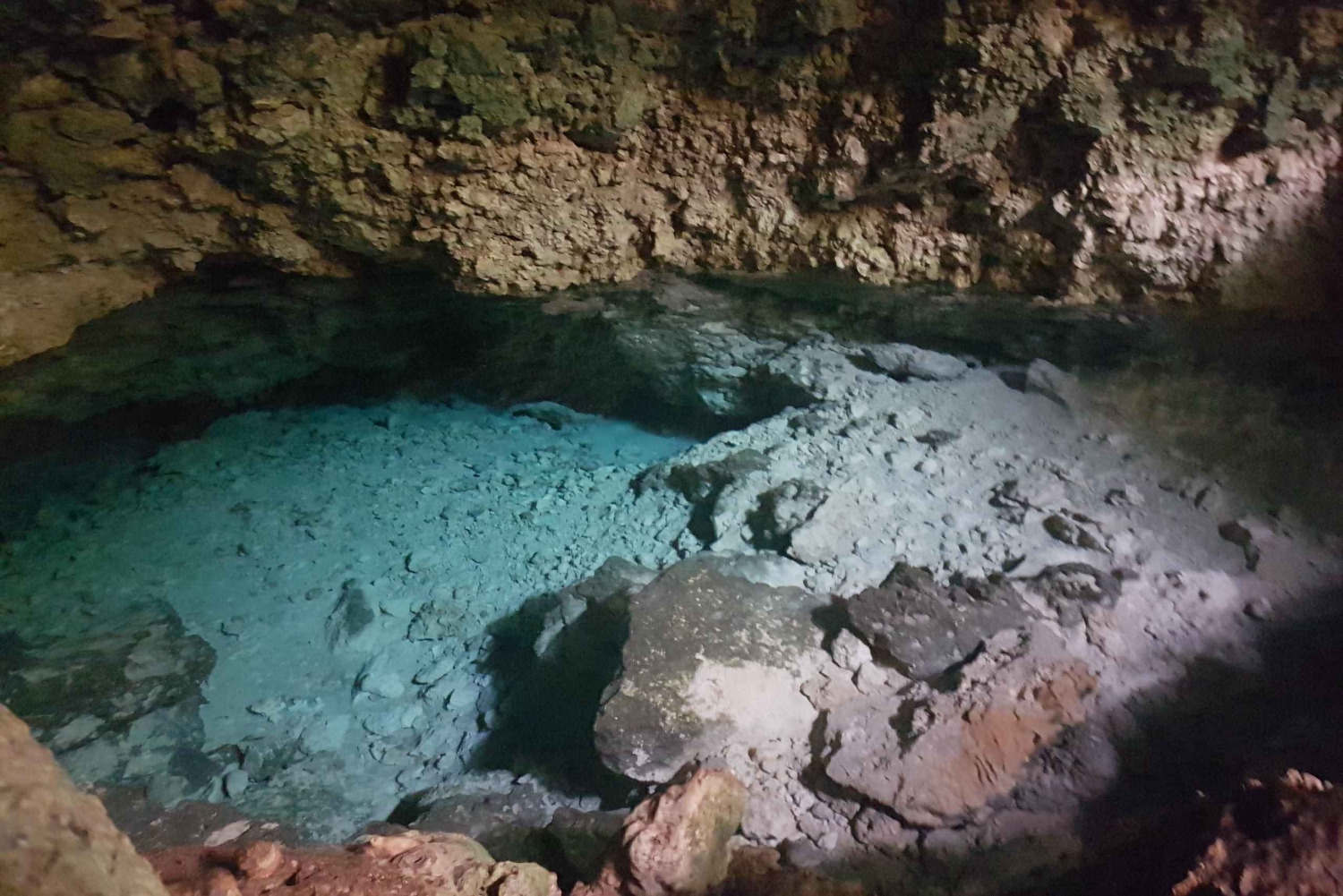 Delfín +Bosque de Jozani+Cueva de Kuza+Restaurante La Roca y Paje